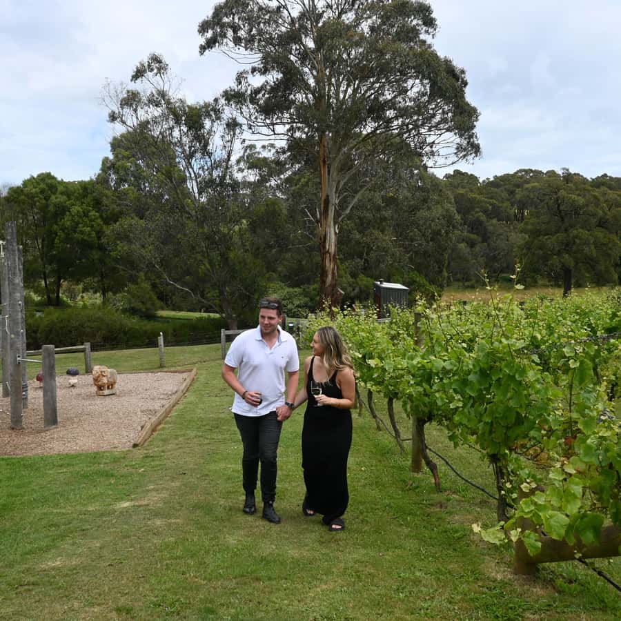 Farmers Lunch - Food and Wine for 2 - Estate drinks, dessert, and farm-roasted coffee
