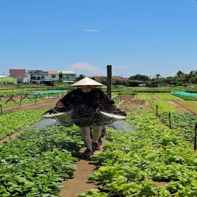Farming - Local Market - Cooking Class In Tra Que Vegetable - What to bring and what to leave behind