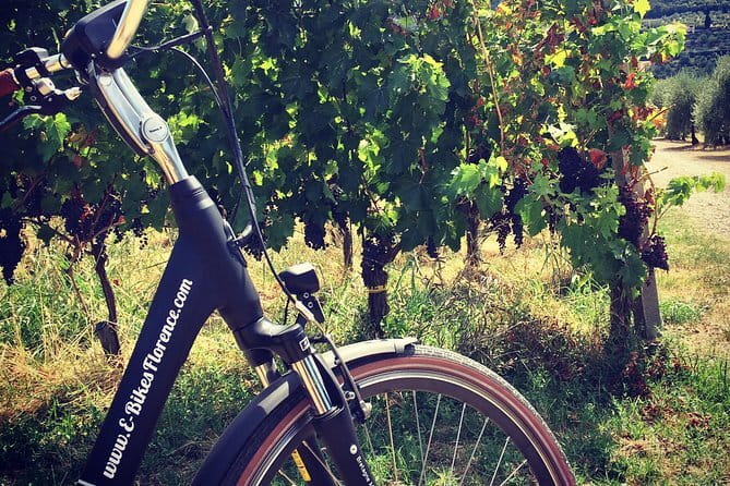 Fiesole: Tuscan Countryside Half Day E-Bike Tour & Farm visit - The opening views over Florence