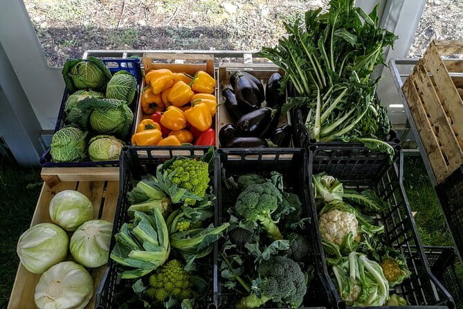 Fiesole: Tuscan Countryside Half Day E-Bike Tour & Farm visit - Montesenario, the Via degli Dei, and changing seasonal routes