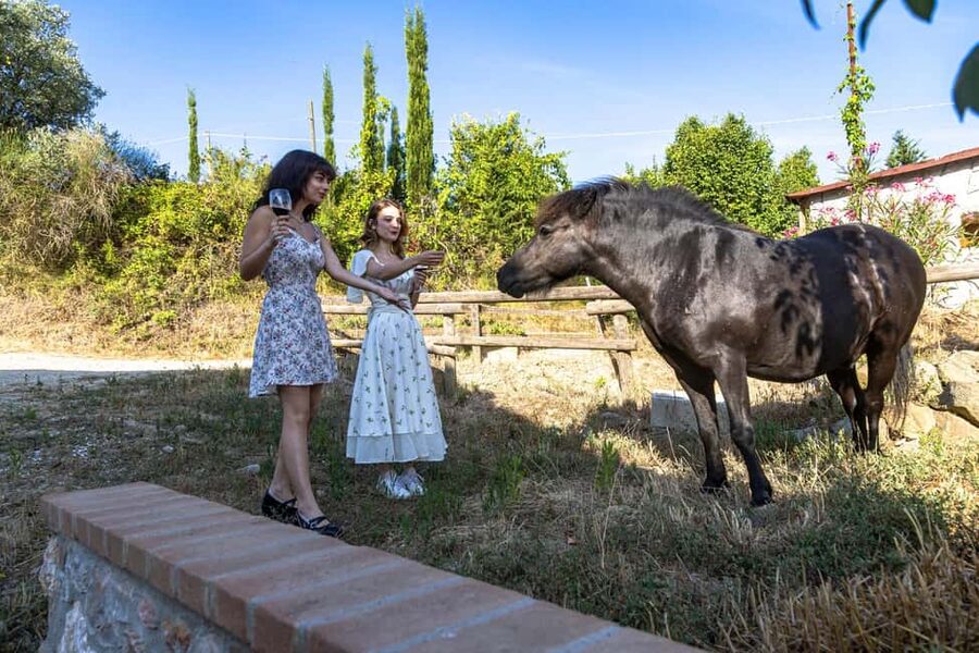 Florence: Cooking Class on a Traditional Tuscan Farm - The five-hour escape from Florence
