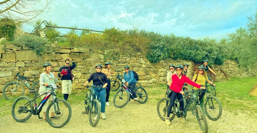 Florence: Country Ebike tour + Wine tasting in organic farm - Olive groves, vineyards, and views of Florence