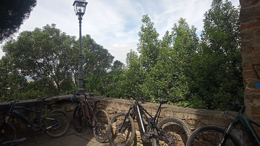 Florence: Country Ebike tour + Wine tasting in organic farm - Guide style and the private-group advantage