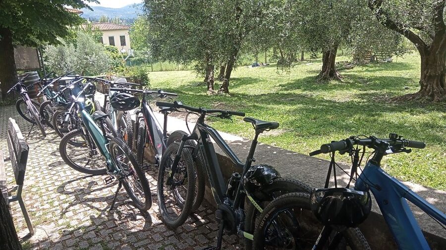 Florence: Country Ebike tour + Wine tasting in organic farm - Practical planning for a comfortable ride