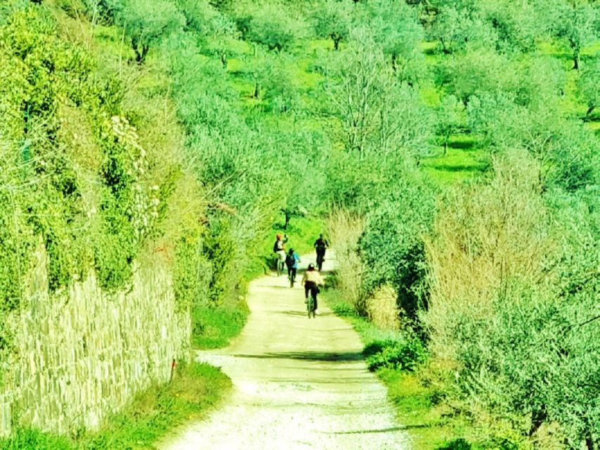 Florence: Country Ebike tour + Wine tasting in organic farm - Who will enjoy this Florence countryside tour?