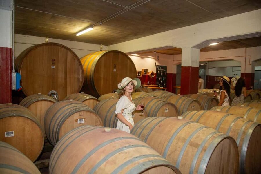 Florence: The secret of wine, cheese and olive oil at a farm - Ten Tuscan wines with a sommelier