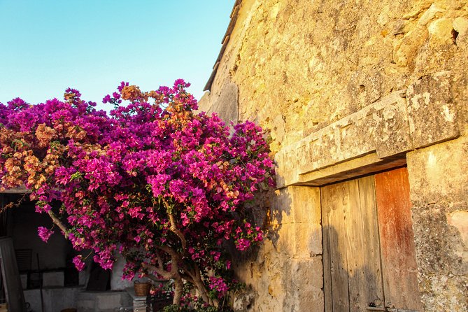 Food Experience at our Farm in Noto Hills - Tasting olive oil, Nero d’Avola, and limoncello