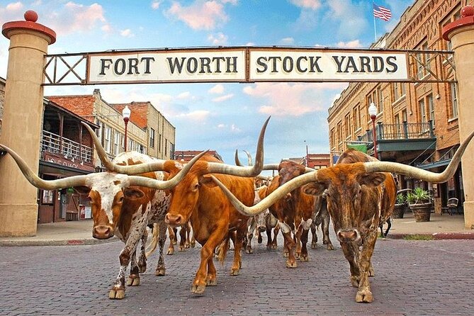 Fort Worth Highlights & Southfork Ranch Combo Tour - Starting with JFK and downtown Fort Worth
