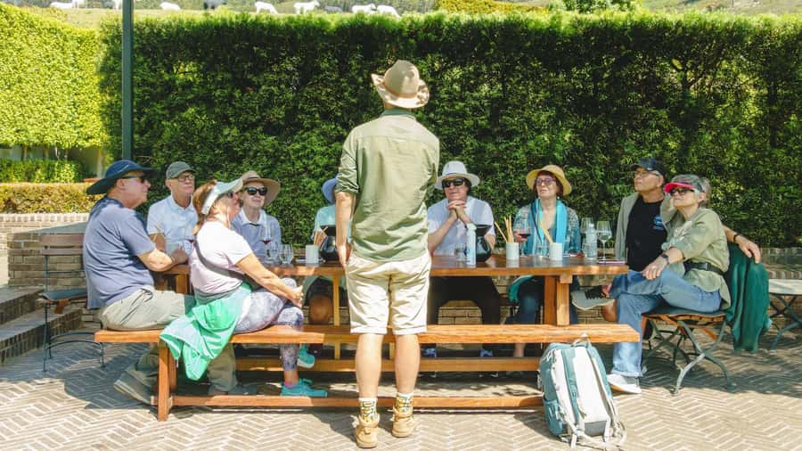 Franschhoek: An enchanting storytelling walk to 3 wine farms - A short tuk-tuk ride changes the rhythm