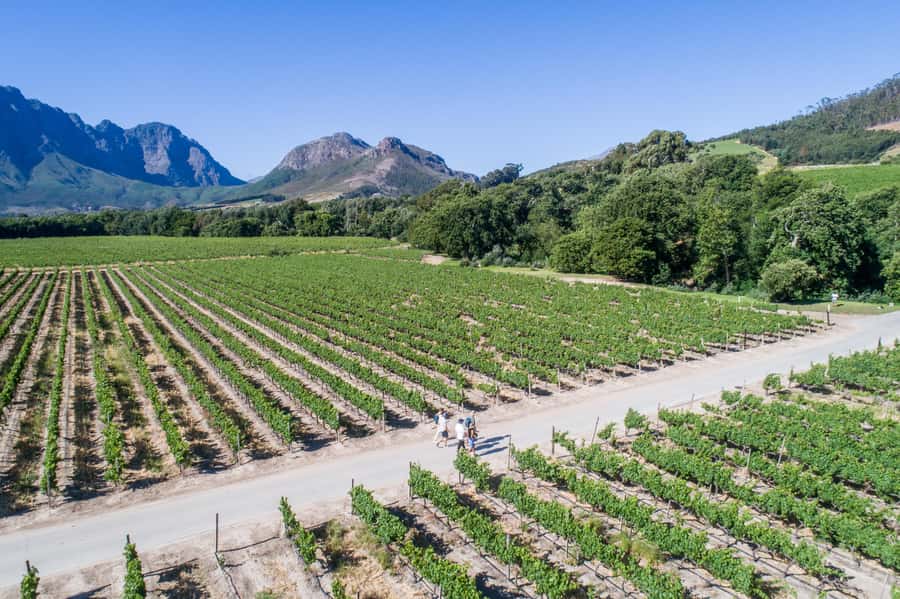 Franschhoek: An enchanting storytelling walk to 3 wine farms - Who should book this walk?