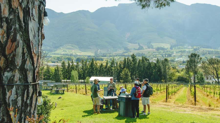 Franschhoek: An enchanting storytelling walk to 3 wine farms - Leaving town for vineyards and mountain views