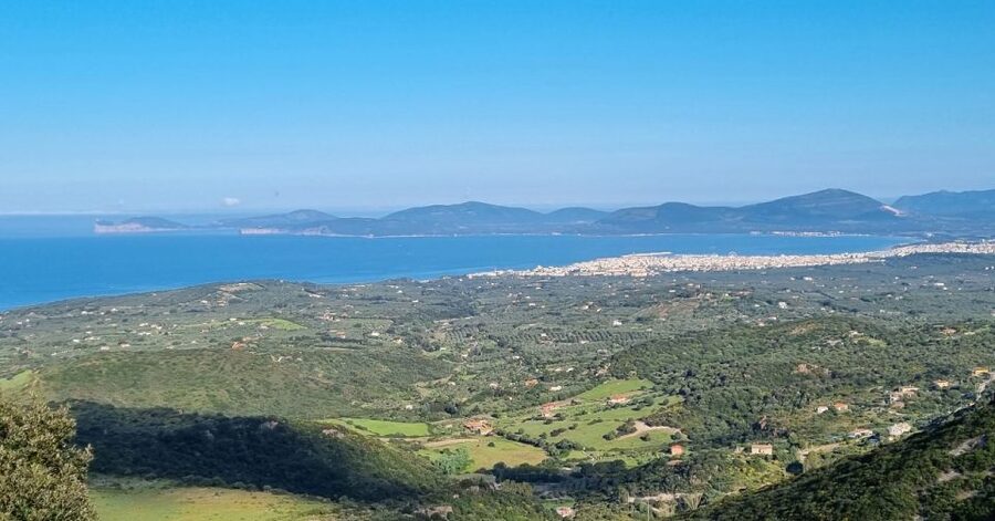 From Alghero: Farm to Table cooking experience in Montresta - Group size, guide, and language