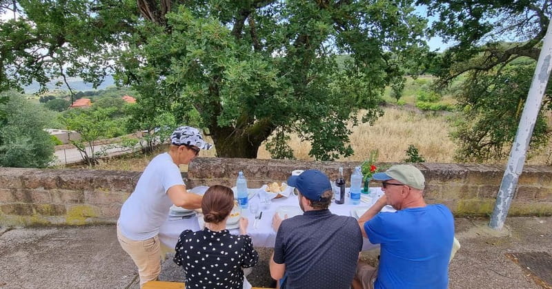 From Alghero: Farm to Table cooking experience in Montresta - Who will get the most from this experience