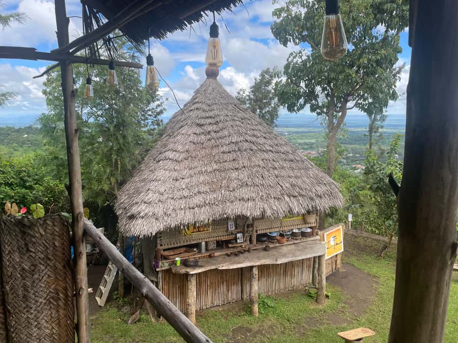 From Arusha: Coffee Farm and Mangalia Waterfalls Tour - Key points before you book