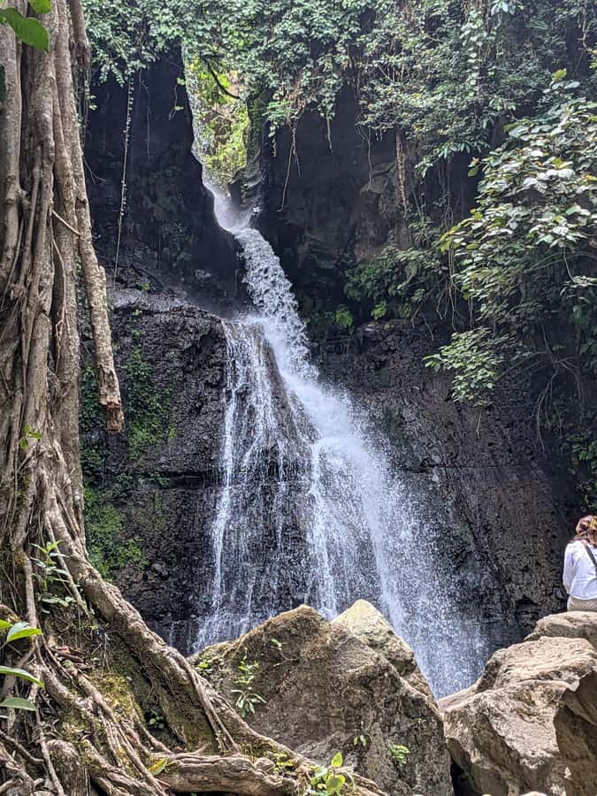 From Arusha: Coffee Farm and Mangalia Waterfalls Tour - Coffee from plant to cup