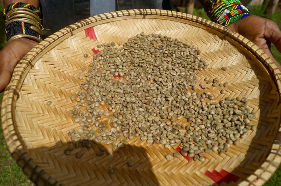 From Arusha: Coffee Farm and Mangalia Waterfalls Tour - A relaxed break with fruit, views, and banana wine