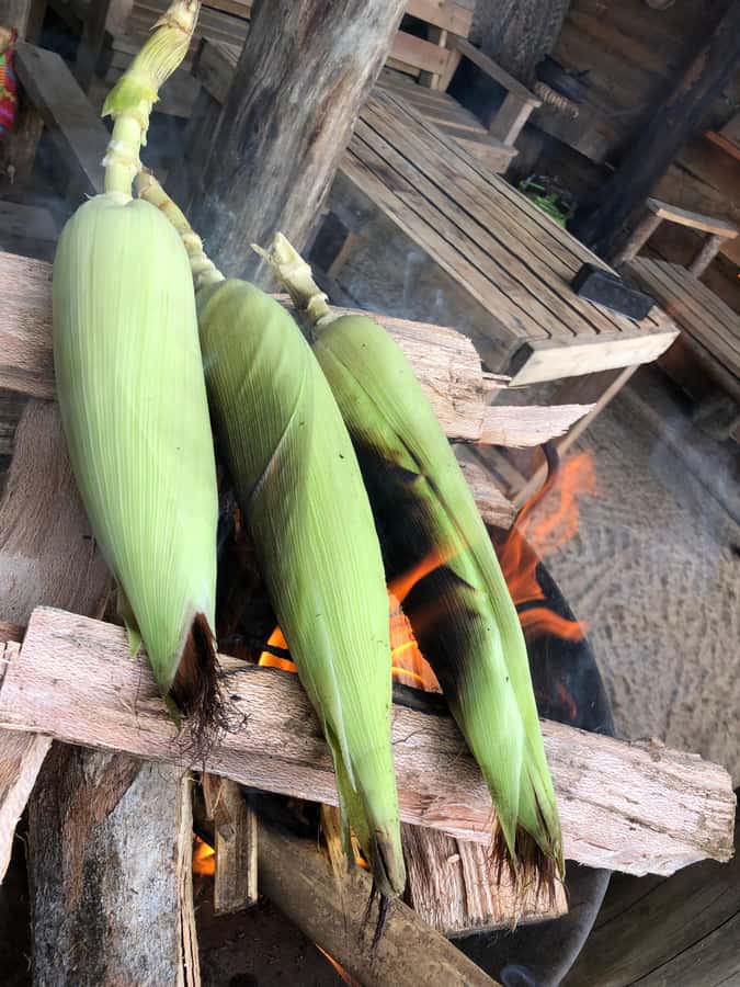 From Arusha: Coffee Farm and Mangalia Waterfalls Tour - Price, group size, and what you actually receive