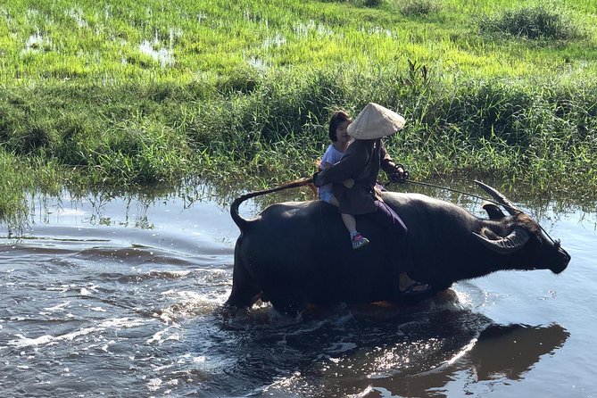 From AUTHENTIC FARMER'S LIFE to ECO RIVER FISHING EXPERIENCE - Why this rural Hoi An outing works