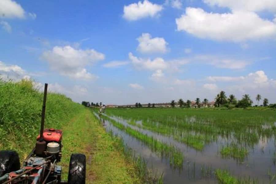From Bangkok: Mahasawat Canal and farm with Lunch - Making Khao Tang Na Tang