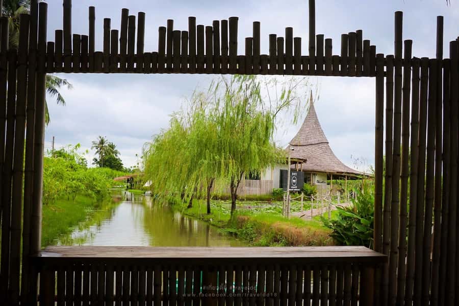 From Bangkok: Mahasawat Canal and farm with Lunch - Orchids grown for export
