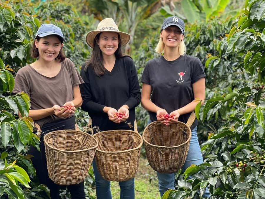 From Bogota: 5 hour guided coffe farm tour - All included - Key points at a glance