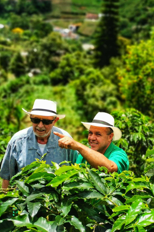 From Bogota: 5 hour guided coffe farm tour - All included - Practical advice for a smoother day