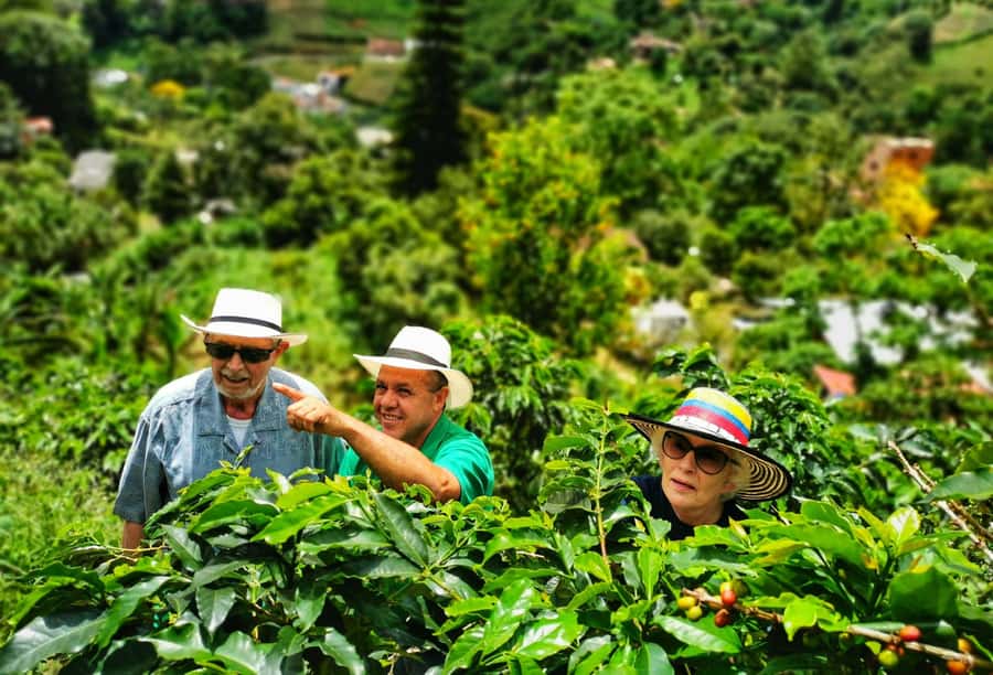 From Bogota: 5 hour guided coffe farm tour - All included - Breakfast begins the farm visit