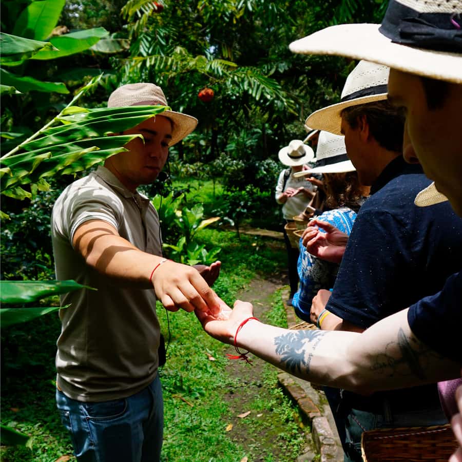 From Bogotá: Coffee Farm and Tequendama Falls Tour - Key points to know before booking