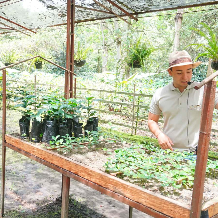 From Bogotá: Coffee Farm and Tequendama Falls Tour - Why this makes sense as a day trip from Bogotá