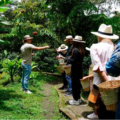 Award Winning Farm Tour: Coffee, Chocolate and Unique Gifts