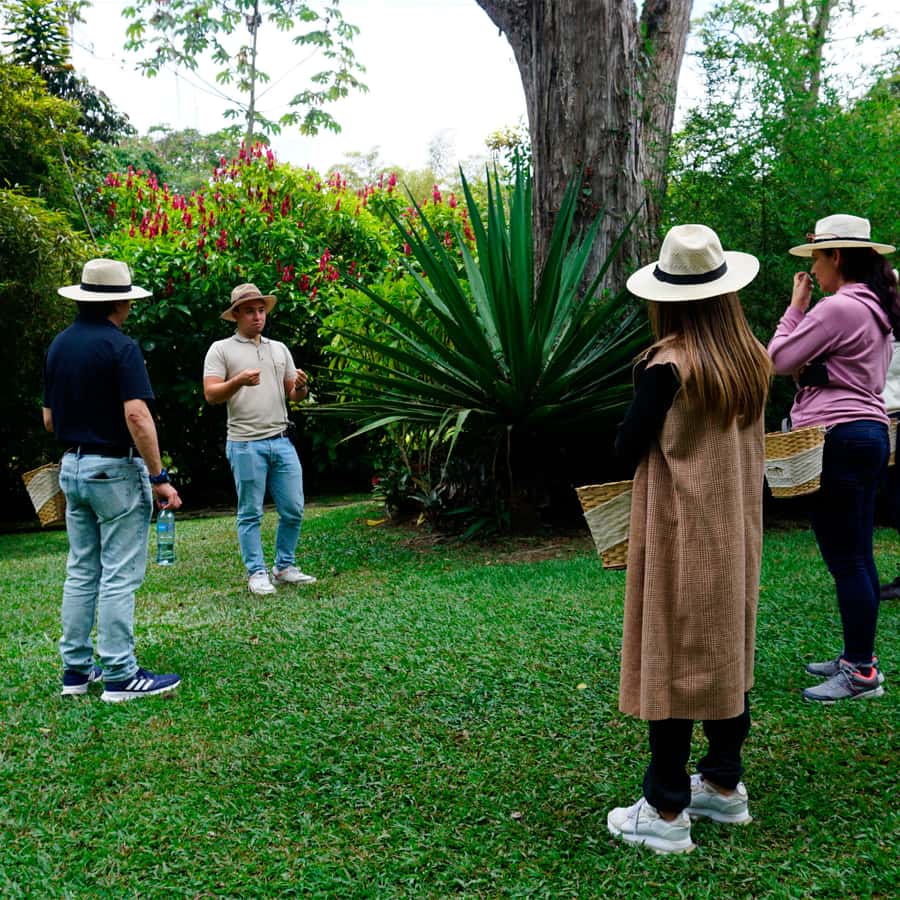 From Bogotá: Coffee Farm and Tequendama Falls Tour - Wildlife and plant life add texture to the farm visit