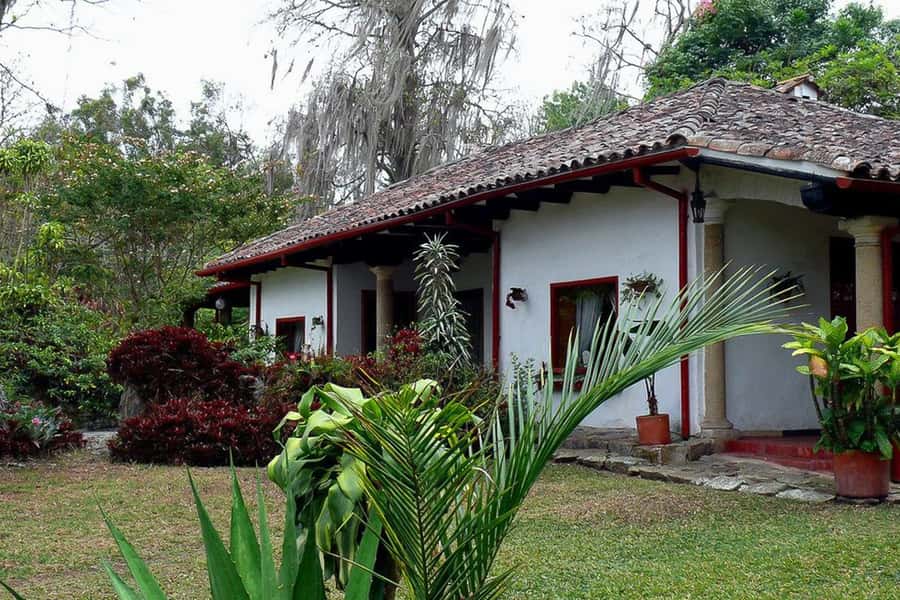 From Bogotá: Coffee Farm Experience Private Day Tour - Why This Farm Visit Is Worth Your Day