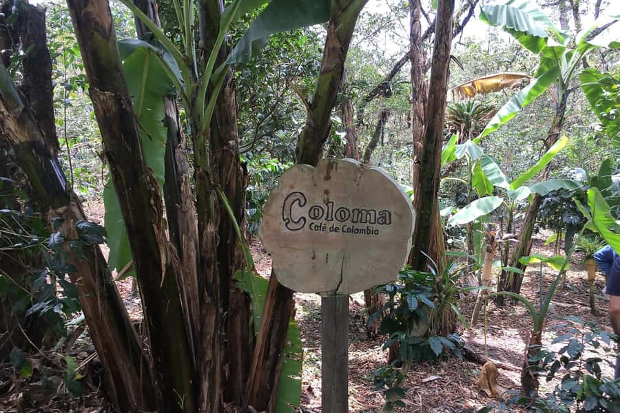 From Bogotá: Coffee Farm Experience Private Day Tour - Leaving Bogotá for Fusagasugá