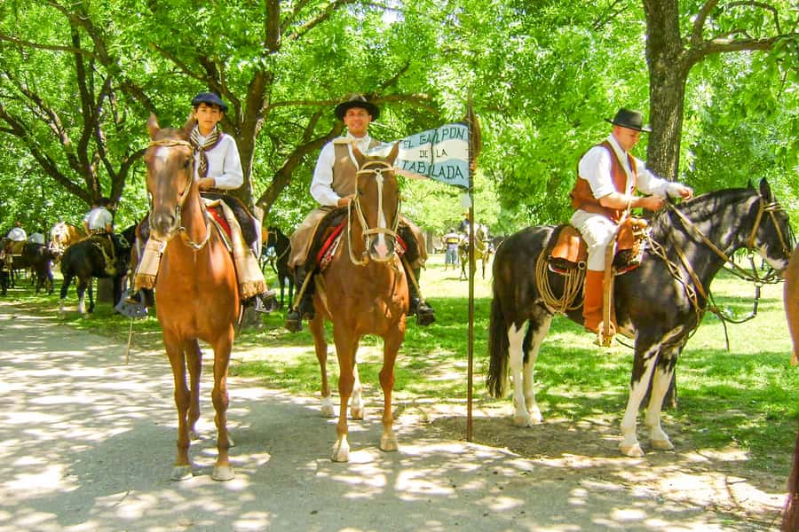 From Buenos Aires: Gaucho and Ranch Day Tour - Leaving Buenos Aires for the open Pampas