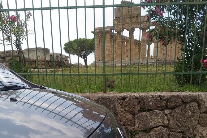 From Castellabate: Paestum Temples+Mozzarella Farm - Guide arrangements need careful attention