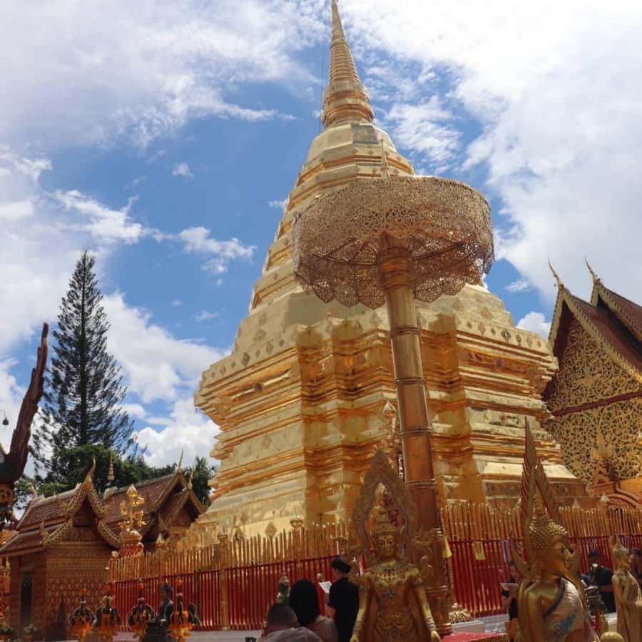 From Chiang Mai: Temples, Sticky Waterfall, and Orchid Farm - Key points to know before you book