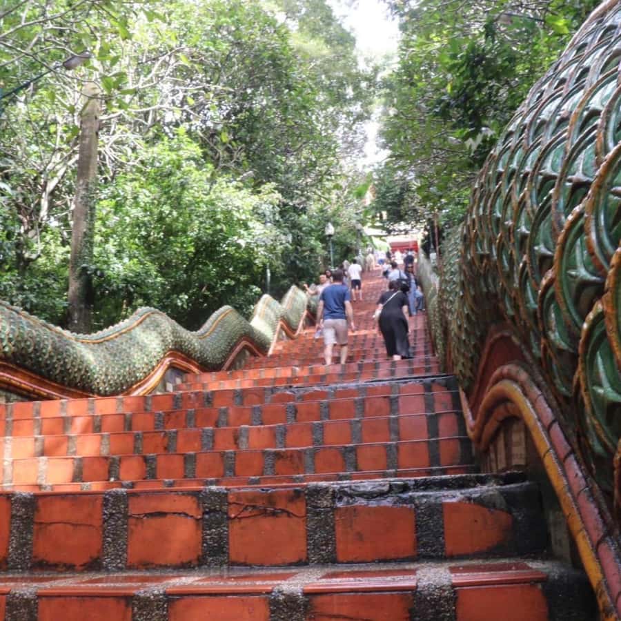 From Chiang Mai: Temples, Sticky Waterfall, and Orchid Farm - Should you book this Chiang Mai experience?