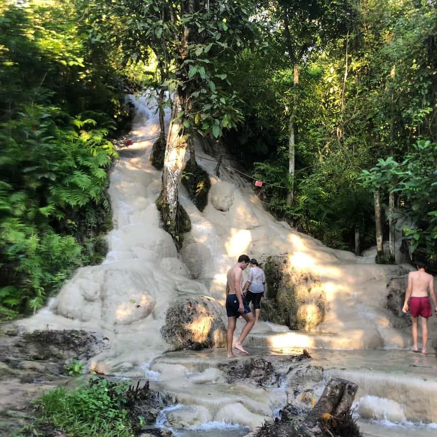 From Chiang Mai: Temples, Sticky Waterfall, and Orchid Farm - Why this Chiang Mai day trip works