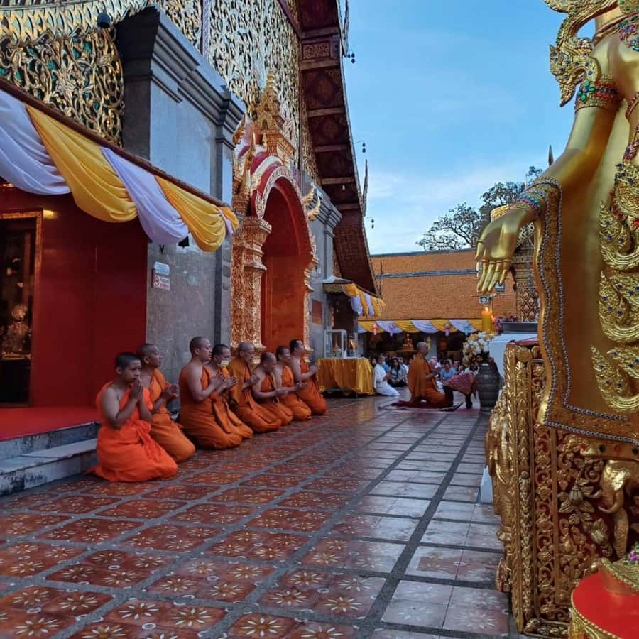From Chiang Mai: Temples, Sticky Waterfall, and Orchid Farm - The orchid and butterfly farm, plus an easy lunch