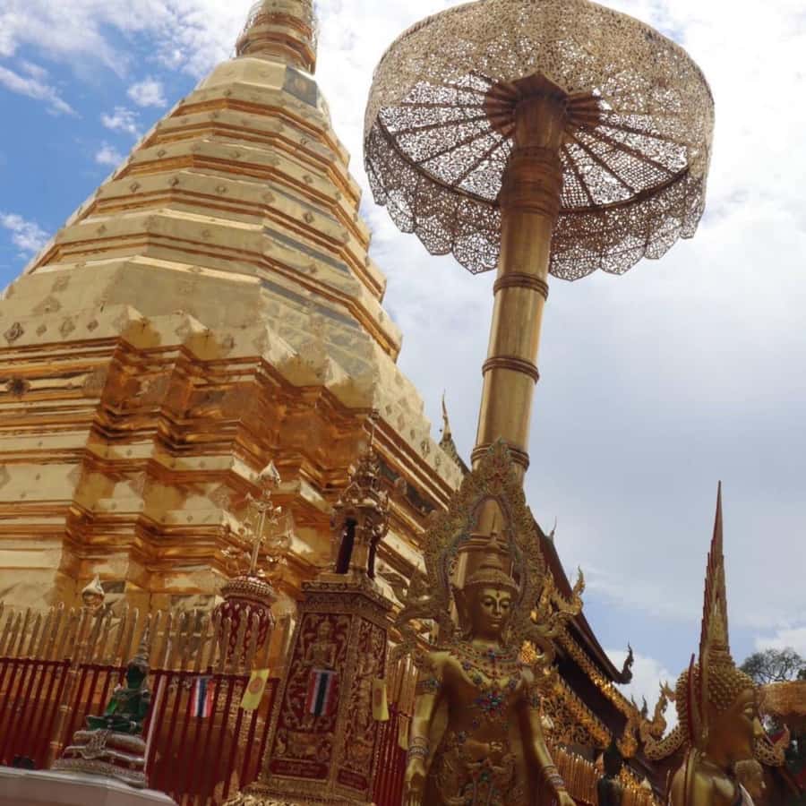 From Chiang Mai: Temples, Sticky Waterfall, and Orchid Farm - Climbing Bua Tong Sticky Waterfall