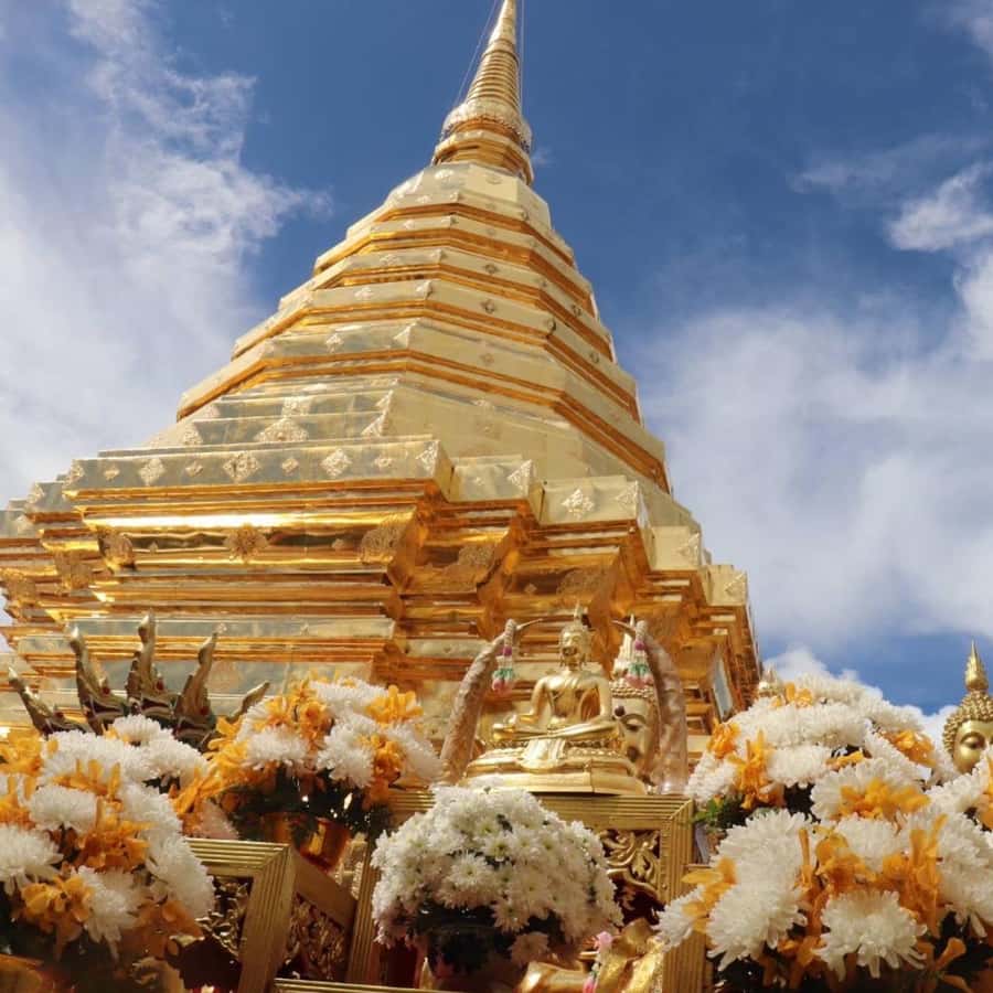 From Chiang Mai: Temples, Sticky Waterfall, and Orchid Farm - Wat Pha Lat, Chiang Mai’s quiet forest temple