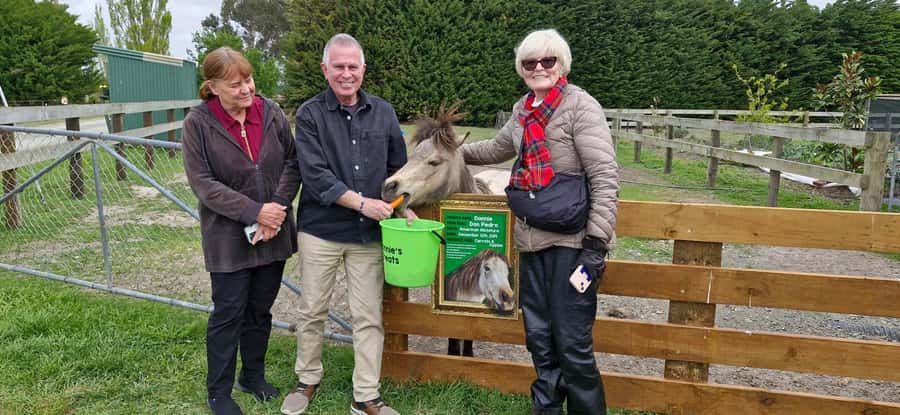 From Christchurch: Sheep Farm Experience with Lunch & Winery - The 45-minute ride through Canterbury
