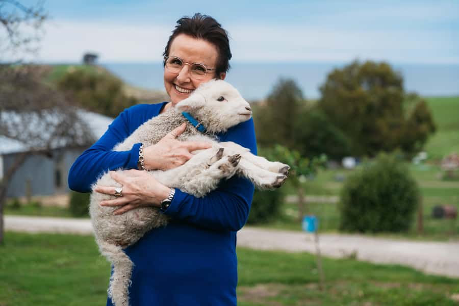 From Christchurch: Sheep Farm Experience with Lunch & Winery - Glenafric Farm: sheep, dogs, and practical rural life