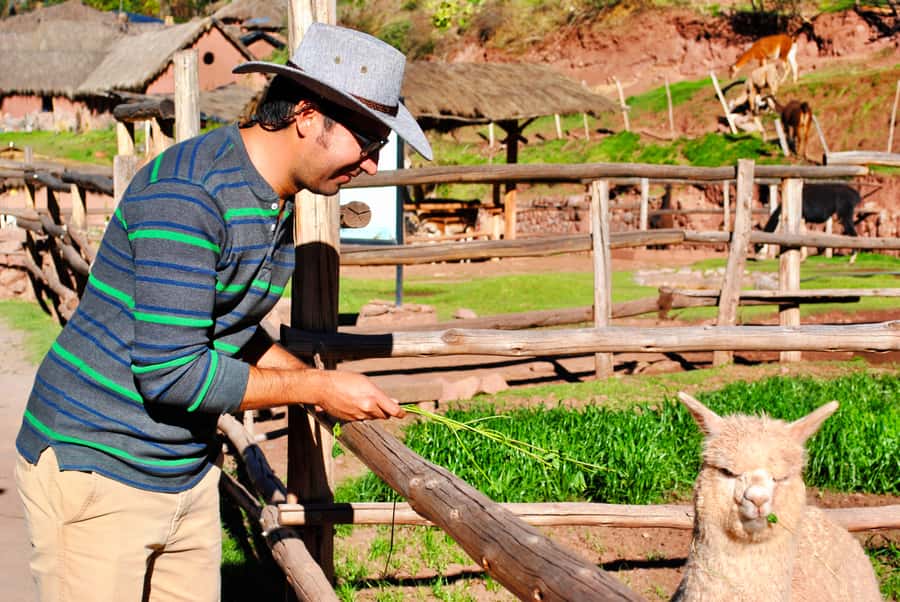 From Cusco: Private Pisac Ruins and Alpaca Farm Day Trip - Why this five-hour route works well from Cusco