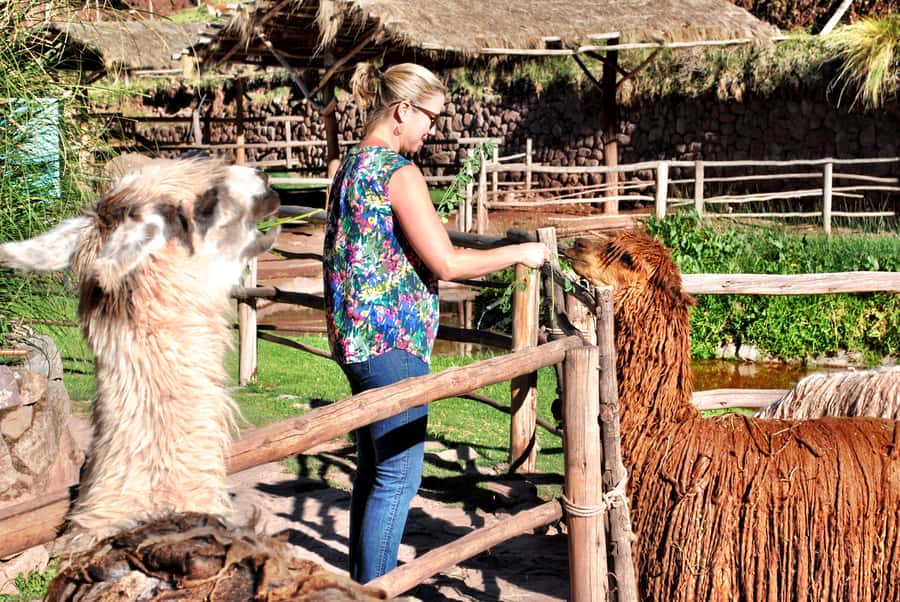 From Cusco: Private Pisac Ruins and Alpaca Farm Day Trip - Walking the original Inca trail at Pisac