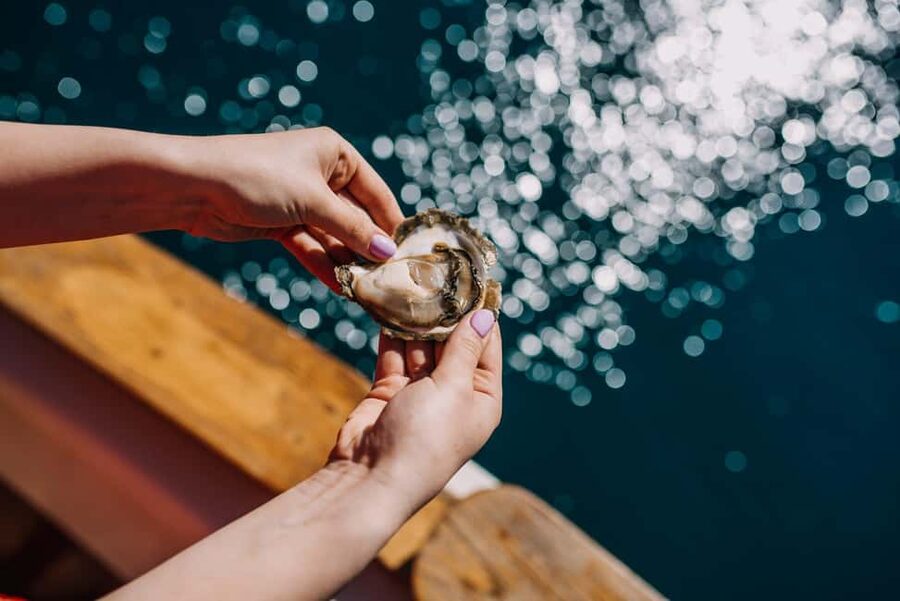 From Dubrovnik: Mali Ston Oysters Farm & Boat Experience - On the wooden boat in Mali Ston Bay