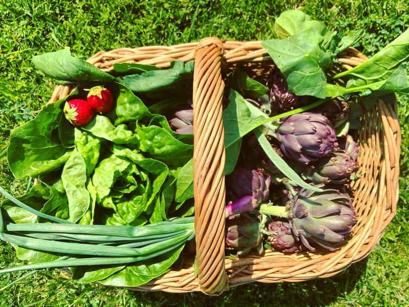 From Florence: Cooking Experience at hilltop farm in Tuscany - Cooking with garden ingredients
