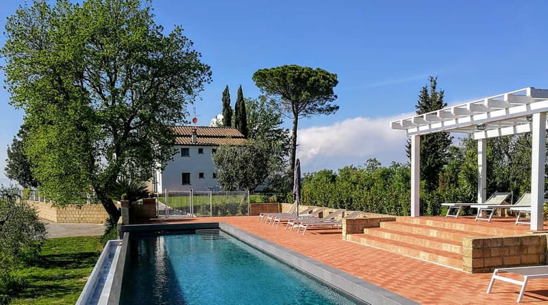 From Florence: Cooking Experience at hilltop farm in Tuscany - The wine cellar, olive grove, and seasonal work