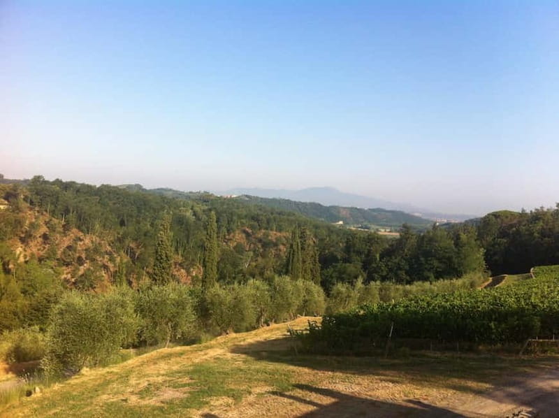 From Florence: Cooking Experience at hilltop farm in Tuscany - The afternoon walk or infinity pool