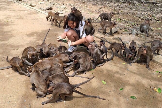 From Ho Chi Minh: Can Gio Trek – Monkey Island & Crocodile Farm - Seafood market, seaside lunch, and local color